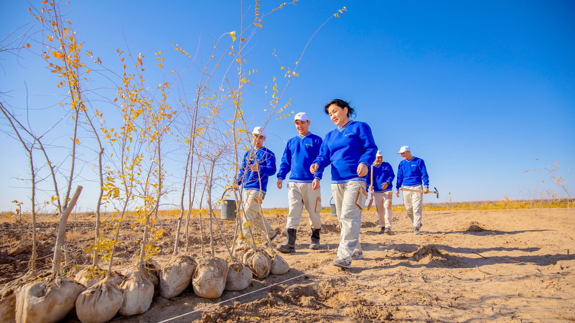 Jinsiy aloqa uchun sutyen